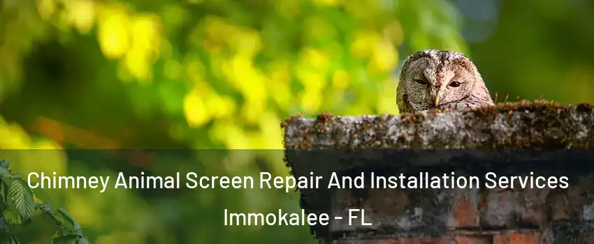  Chimney Animal Screen Repair And Installation Services Immokalee - FL