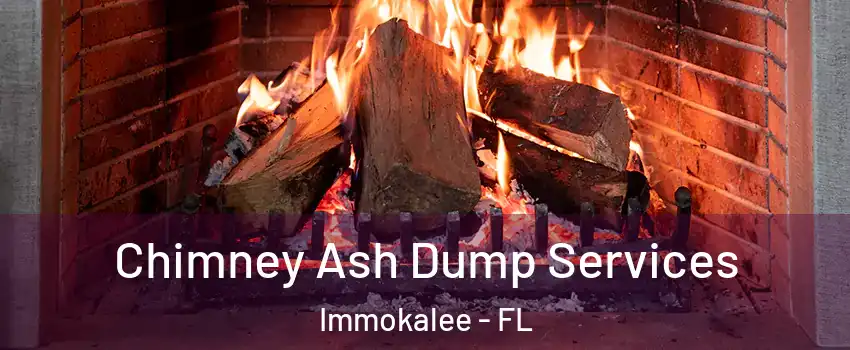  Chimney Ash Dump Services Immokalee - FL