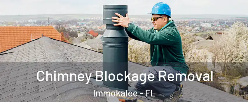  Chimney Blockage Removal Immokalee - FL
