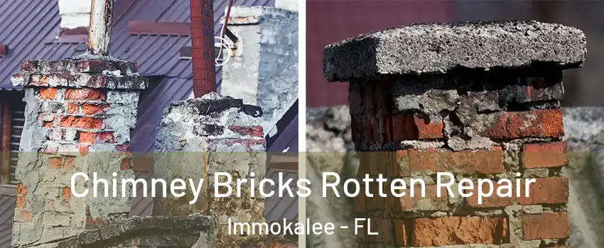  Chimney Bricks Rotten Repair Immokalee - FL