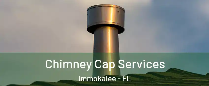  Chimney Cap Services Immokalee - FL