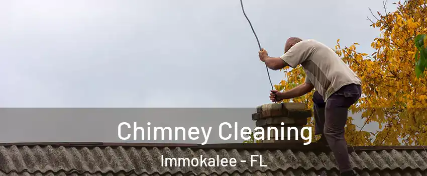  Chimney Cleaning Immokalee - FL