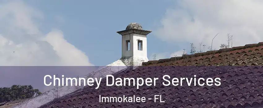  Chimney Damper Services Immokalee - FL