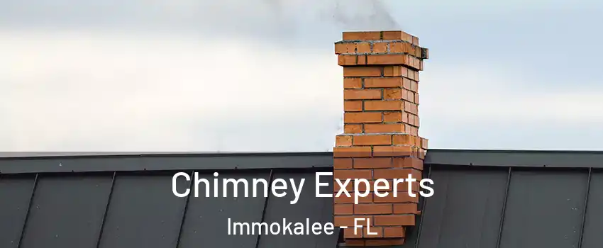 Chimney Experts Immokalee - FL