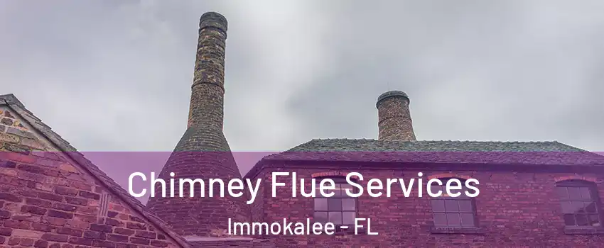  Chimney Flue Services Immokalee - FL