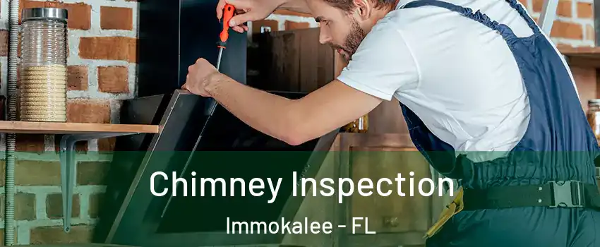  Chimney Inspection Immokalee - FL