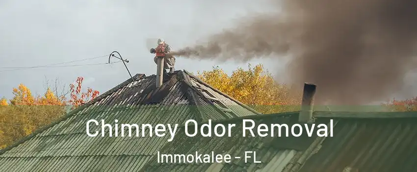  Chimney Odor Removal Immokalee - FL