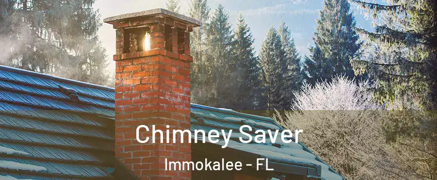  Chimney Saver Immokalee - FL