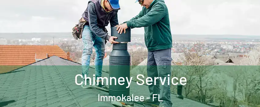  Chimney Service Immokalee - FL
