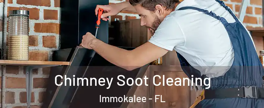  Chimney Soot Cleaning Immokalee - FL