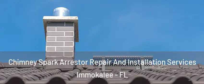  Chimney Spark Arrestor Repair And Installation Services Immokalee - FL