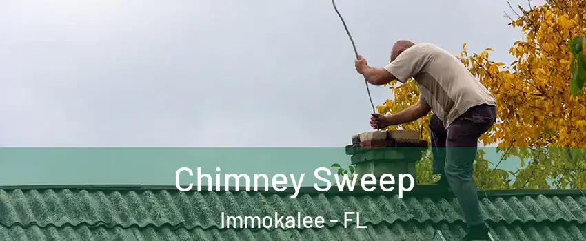  Chimney Sweep Immokalee - FL