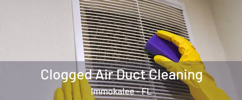  Clogged Air Duct Cleaning Immokalee - FL