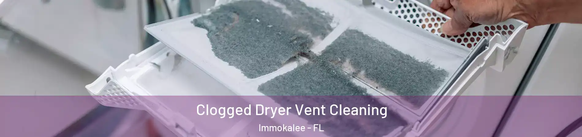  Clogged Dryer Vent Cleaning Immokalee - FL