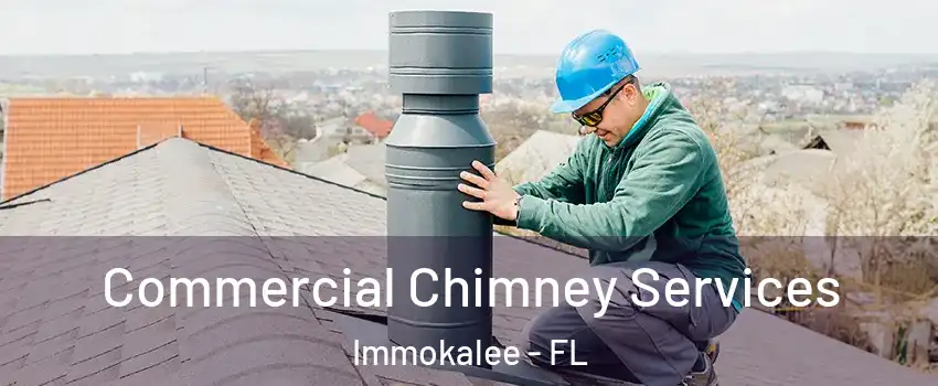  Commercial Chimney Services Immokalee - FL