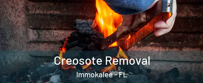  Creosote Removal Immokalee - FL