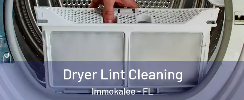  Dryer Lint Cleaning Immokalee - FL