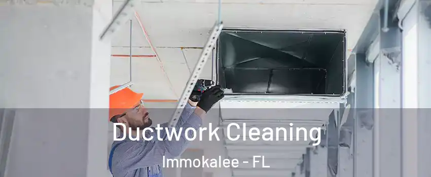  Ductwork Cleaning Immokalee - FL