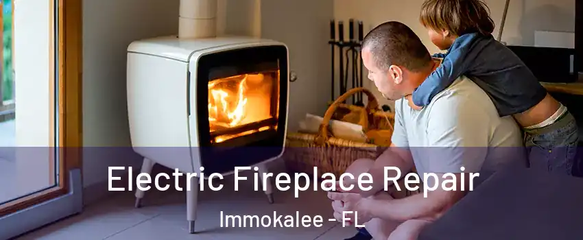  Electric Fireplace Repair Immokalee - FL