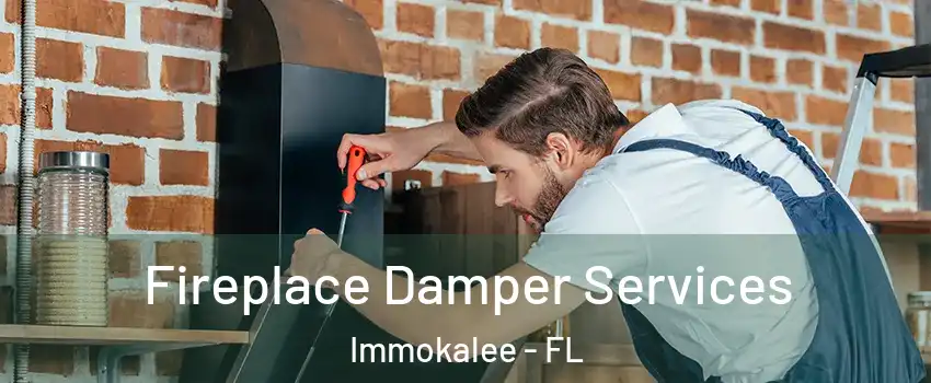  Fireplace Damper Services Immokalee - FL