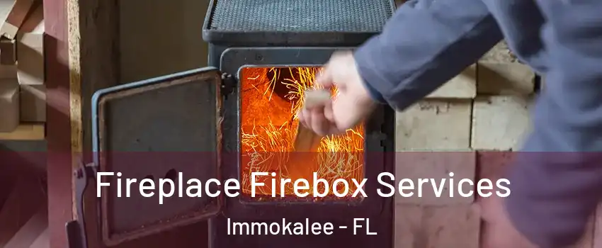  Fireplace Firebox Services Immokalee - FL