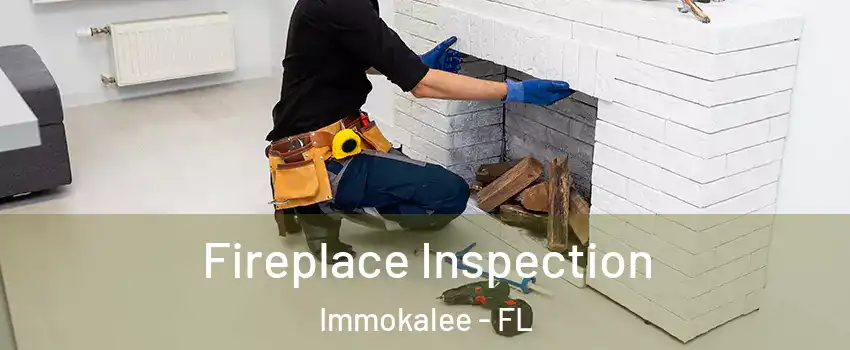  Fireplace Inspection Immokalee - FL