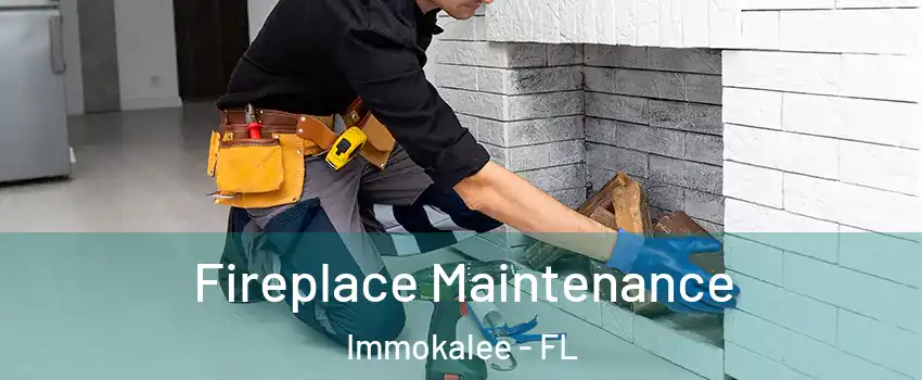  Fireplace Maintenance Immokalee - FL