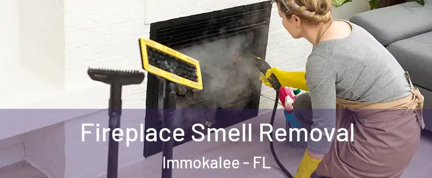  Fireplace Smell Removal Immokalee - FL