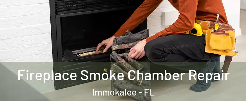 Fireplace Smoke Chamber Repair Immokalee - FL
