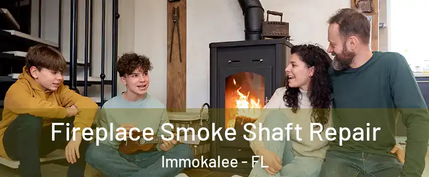  Fireplace Smoke Shaft Repair Immokalee - FL