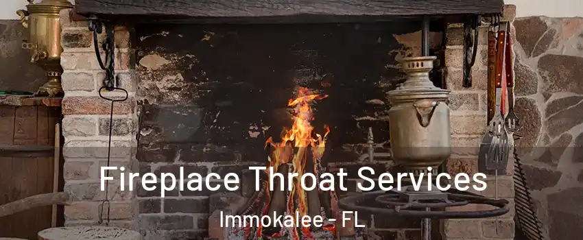  Fireplace Throat Services Immokalee - FL