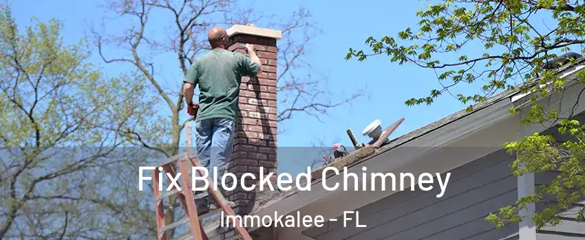  Fix Blocked Chimney Immokalee - FL