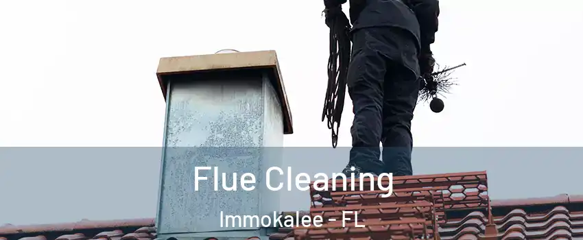  Flue Cleaning Immokalee - FL