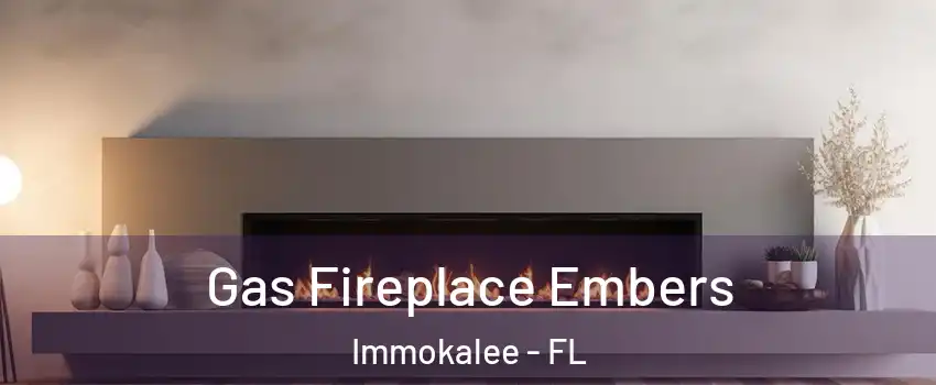  Gas Fireplace Embers Immokalee - FL