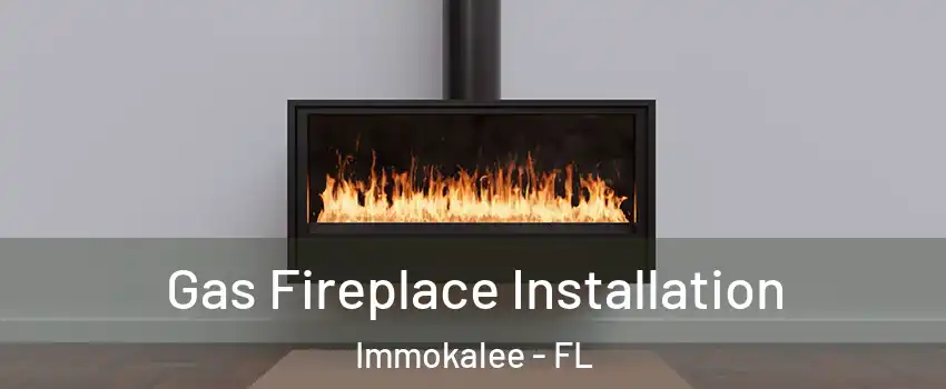  Gas Fireplace Installation Immokalee - FL