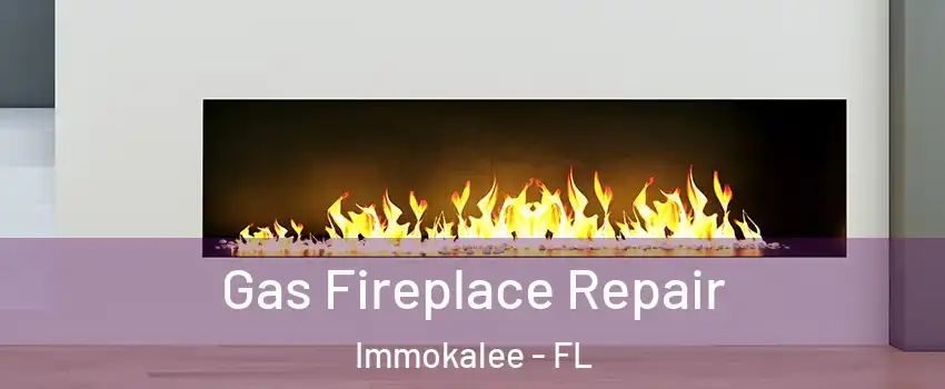  Gas Fireplace Repair Immokalee - FL