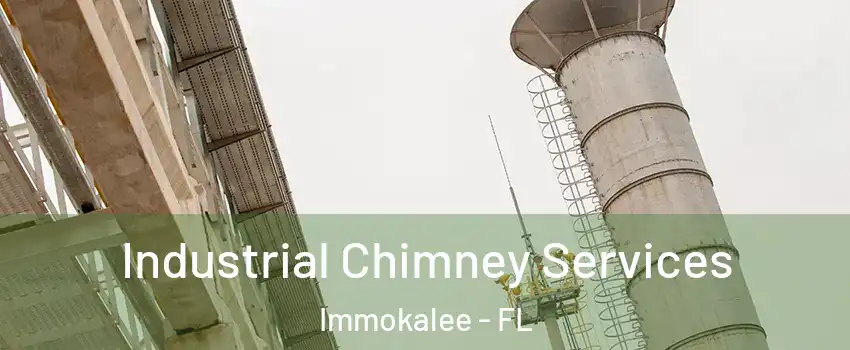  Industrial Chimney Services Immokalee - FL