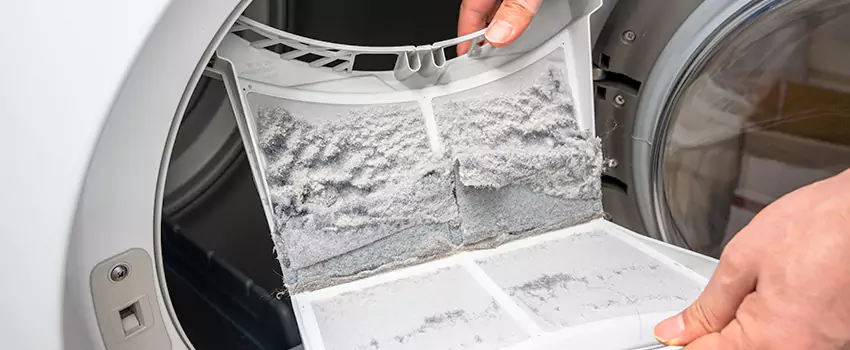 Best Dryer Lint Removal Company in Immokalee, Florida