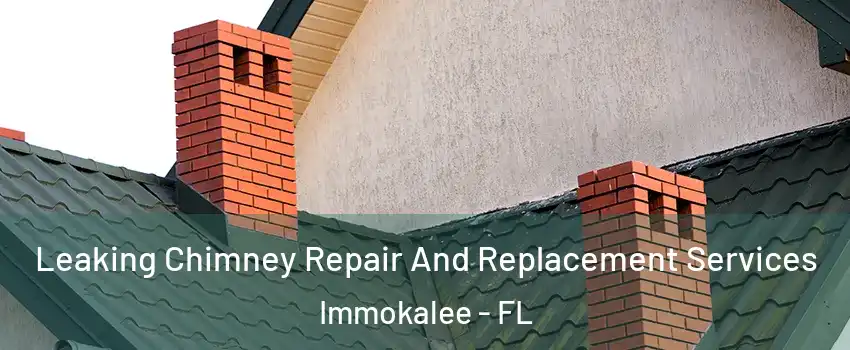  Leaking Chimney Repair And Replacement Services Immokalee - FL