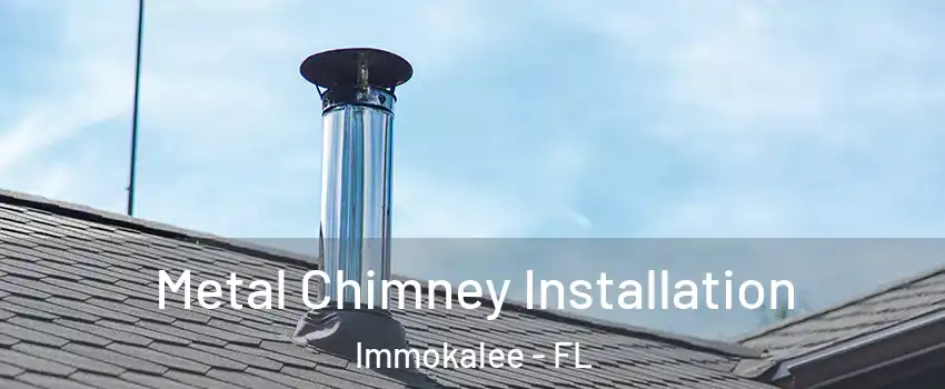  Metal Chimney Installation Immokalee - FL