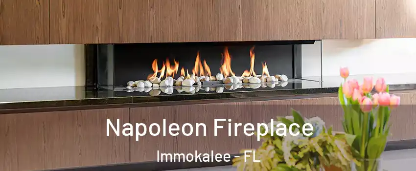  Napoleon Fireplace Immokalee - FL