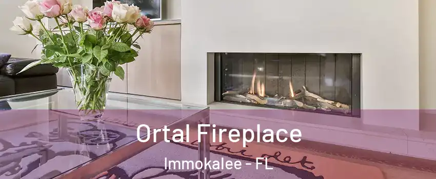 Ortal Fireplace Immokalee - FL