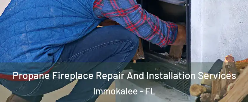  Propane Fireplace Repair And Installation Services Immokalee - FL