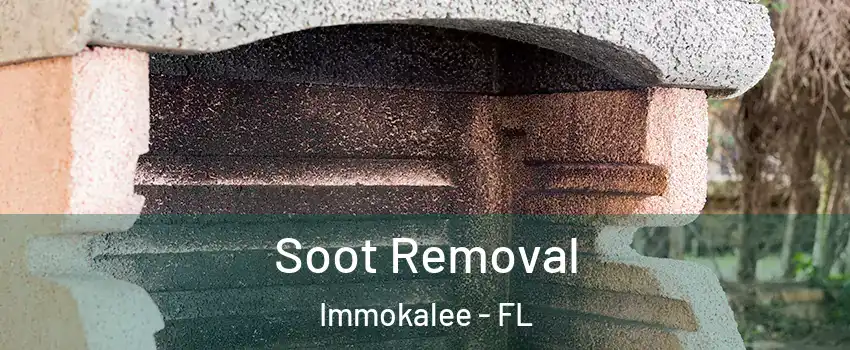  Soot Removal Immokalee - FL