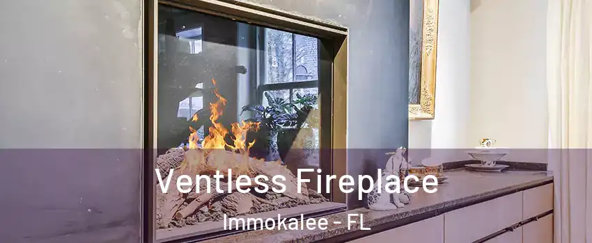  Ventless Fireplace Immokalee - FL